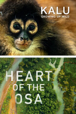 Heart of the Osa & Kalu: Growing up Wild