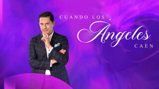 Cuando los ángeles caen