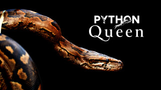 Python Queen