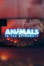 Animals In the Aftermath