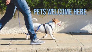 Pets Welcome Here
