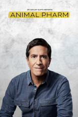 Dr. Sanjay Gupta Reports: Animal Pharm