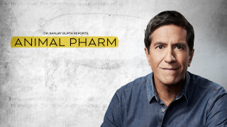 Dr. Sanjay Gupta Reports: Animal Pharm