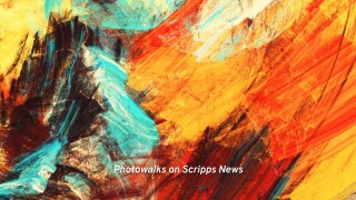 Photowalks on Scripps News