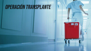 Operación transplante