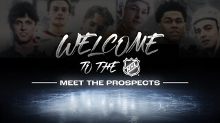Welcome to the NHL: Meet the Prospects