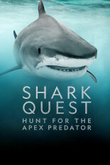 Shark Quest: Hunt for the Apex Predator