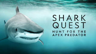 Shark Quest: Hunt for the Apex Predator