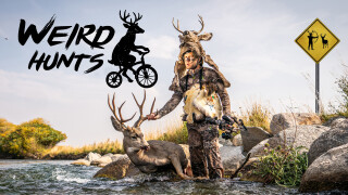 Weird Hunts