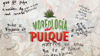 Morfología del pulque