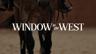 Window to the West