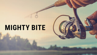 Mighty Bite