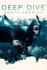 Deep Dive North America