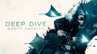 Deep Dive North America