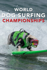 2025 World Dog Surfing Championships Best Waves