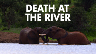 Death at the River