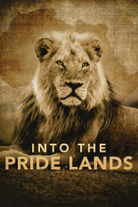 Into the Pride Lands