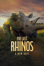 The Last Rhinos: A New Hope