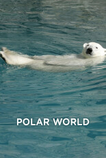 Polar World