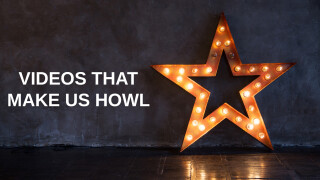 Videos That Make Us Howl