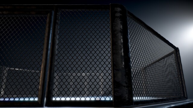 Extreme Fighting Championship 127