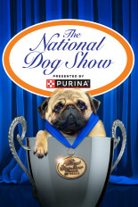 The National Dog Show