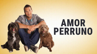 Amor perruno