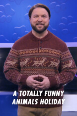 A Totally Funny Animals Holiday