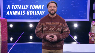 A Totally Funny Animals Holiday