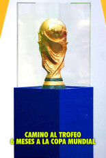Camino al trofeo: 6 meses a la copa mundial