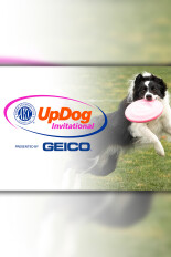 AKC UpDog Invitational
