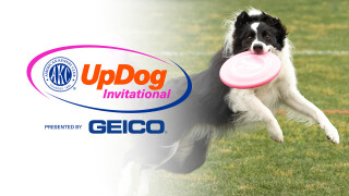 AKC UpDog Invitational