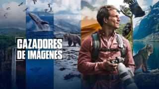 Cazadores de imágenes