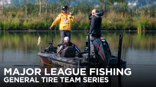 MLF Team Series