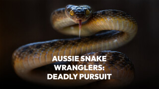 Aussie Snake Wranglers: Deadly Pursuit