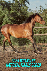 2025 Wrangler National Finals Rodeo