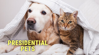 Presidential Pets