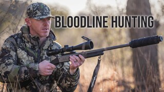 Bloodline hunting