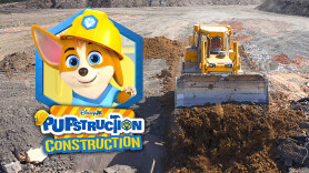 Pupstruction Construction