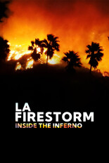LA Firestorm
