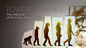Powerful Genes: The Miracle of Human Adaptation