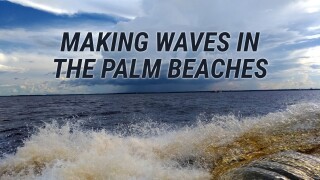 Making Waves in the Palm Beaches