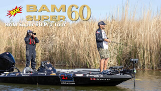 BAM Pro Tour