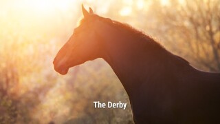 The Derby