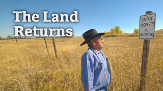 The Land Returns