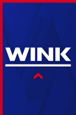WINK NEWS at 11:30am