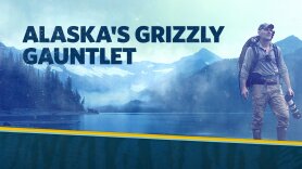 Alaska's Grizzly Gauntlet