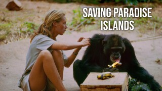 Saving Paradise Islands
