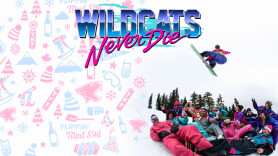 Wildcats Never Die