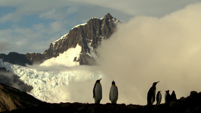 Icy Coast